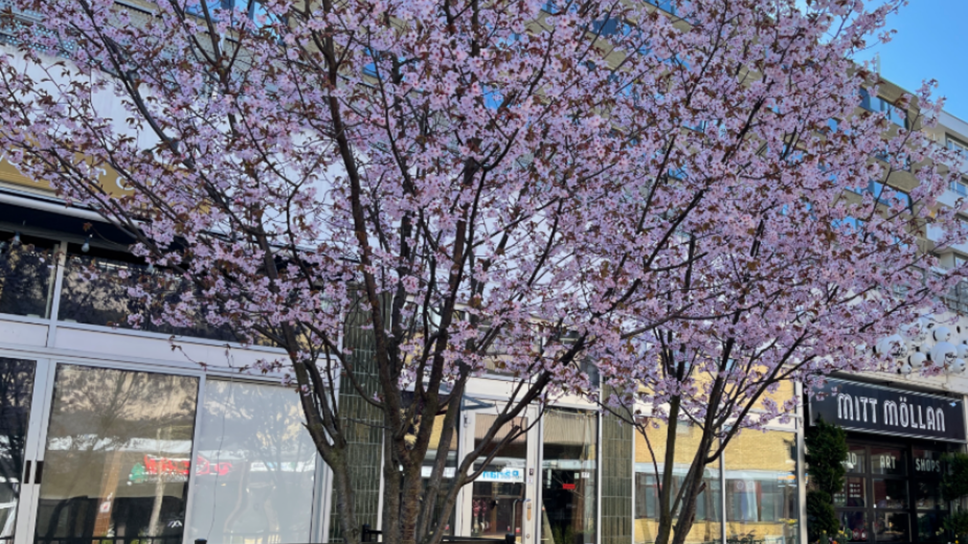 Claesgatan 8, Södervärn/Möllevången - Mitt Möllan – Den personliga gallerian i hjärtat av Möllevången!