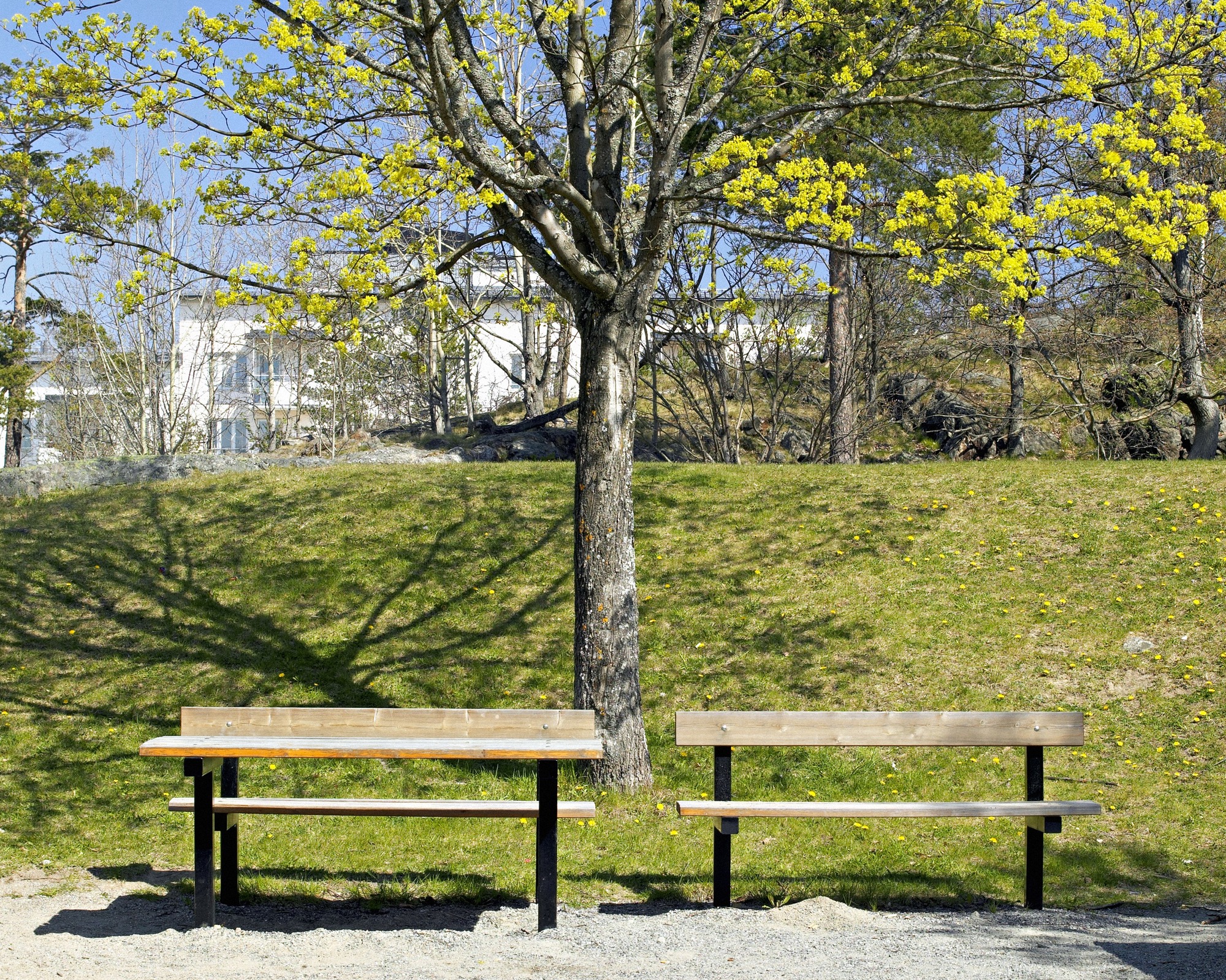 Sittplattser och bänkar i ett grönområde under våren, Bredäng