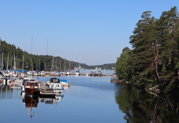 Foto på en hamn med båtar och skog runt om.