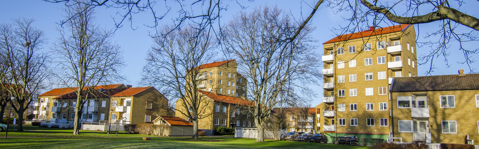 En grön park med träd utan löv i förgrunden. I bakgrunden syns flera flerfamiljshus i gult tegel med röda tak. Solen lyser och himlen är klarblå.