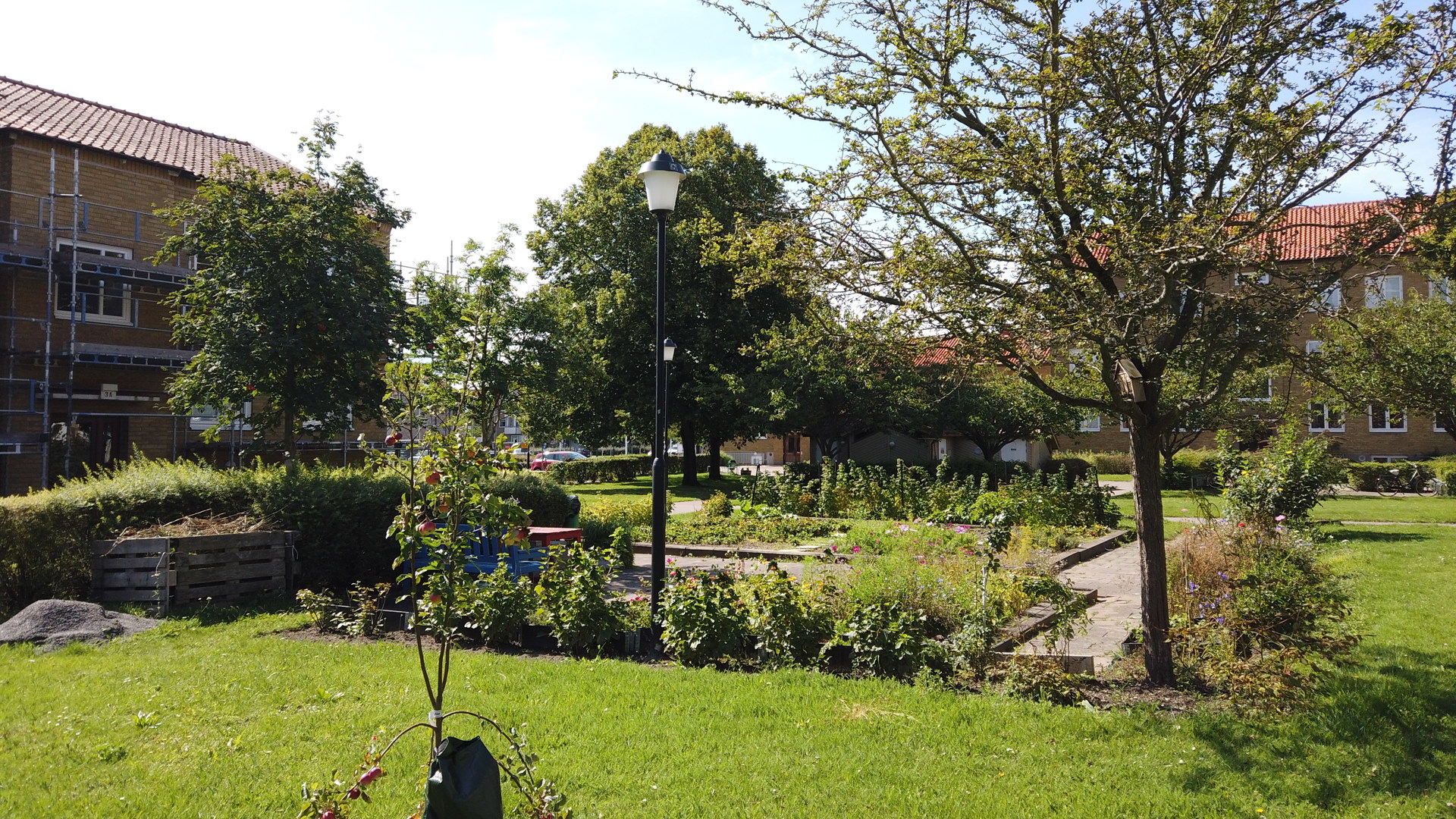Grön innergård i solsken med gräsmatta, träd, buskar, gångstigar, blommande planteringar, en parkbänk och en lyktstolpe omgiven av flerbostadshus.