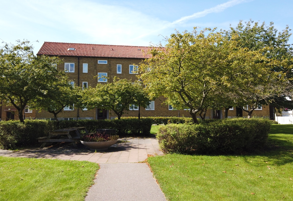Grön innergård i solsken med gångväg, gräsmatta, buskage och träd runt en rund sittplats med bänkar och planteringar, framför ett trevånings flerbostadshus i tegel.