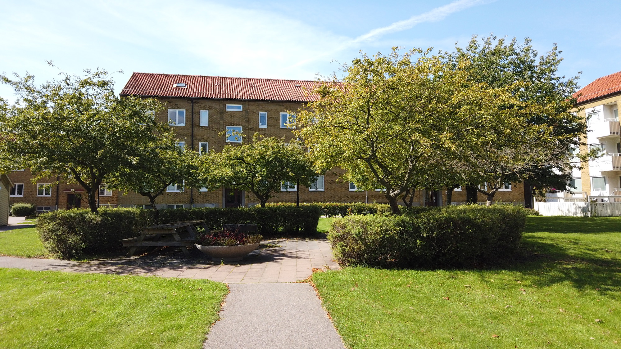 Grön innergård i solsken med gångväg, gräsmatta, buskage och träd runt en rund sittplats med bänkar och planteringar, framför ett trevånings flerbostadshus i tegel.