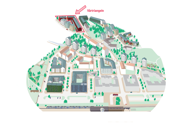 Illustration av karta över Vega där vårtriangeln är markerat.