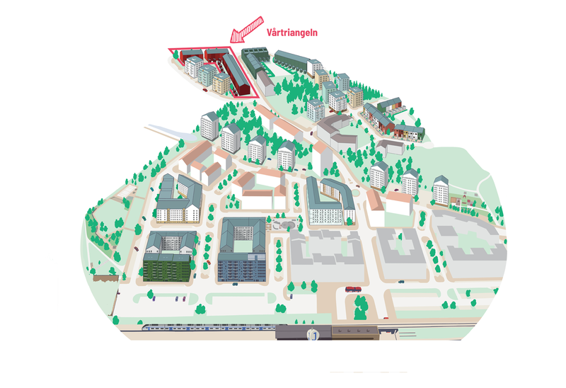 Illustration av karta över Vega där vårtriangeln är markerat.