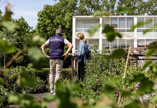 Två personer står och samtalar i en lummig trädgård framför ett flerbostadshus; den ena bär väst med texten ”Stena Fastigheter”. Bilden ramas in av gröna blad och blommande växter i förgrunden en solig dag. Lindängen Malmö, World Bee Day