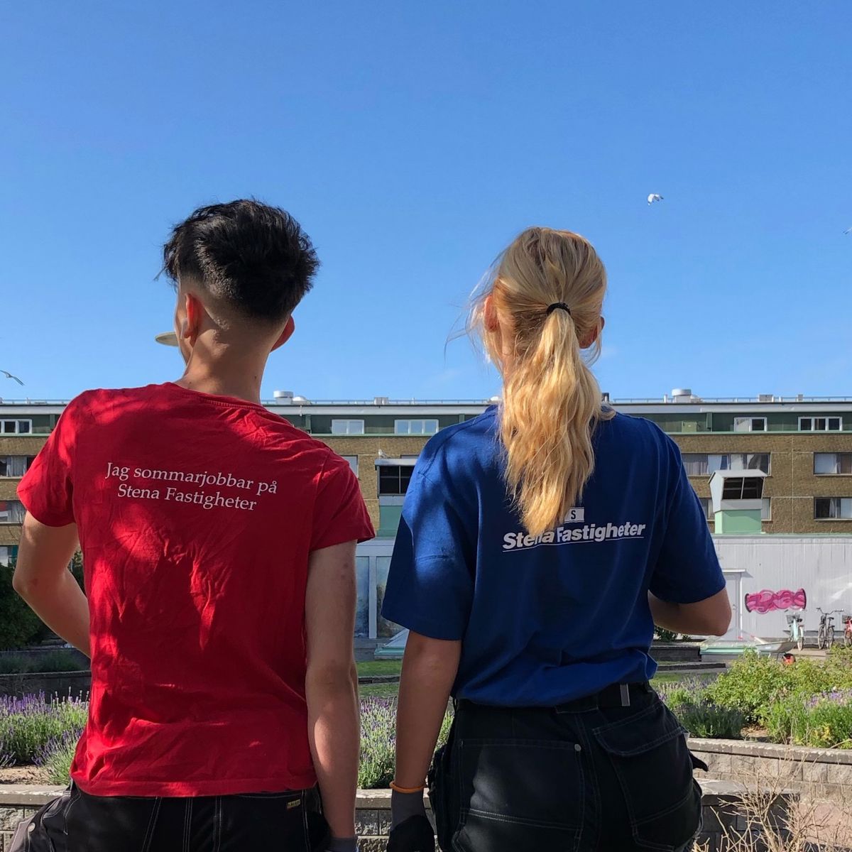 Två personer står med ryggen mot kameran och kollar ut över ett bostadsområde i Malmö. Vid sidorna och framför dem finns lägenhetshus. I mitten syns odlingsytor med gröna växter samt lila och rosa blommor. Den ena personen bär en röd t-shirt med texten 'Jag sommarjobbar hos Stena Fastigheter', och den andra har en blå t-shirt med Stena Fastigheters logga på ryggen