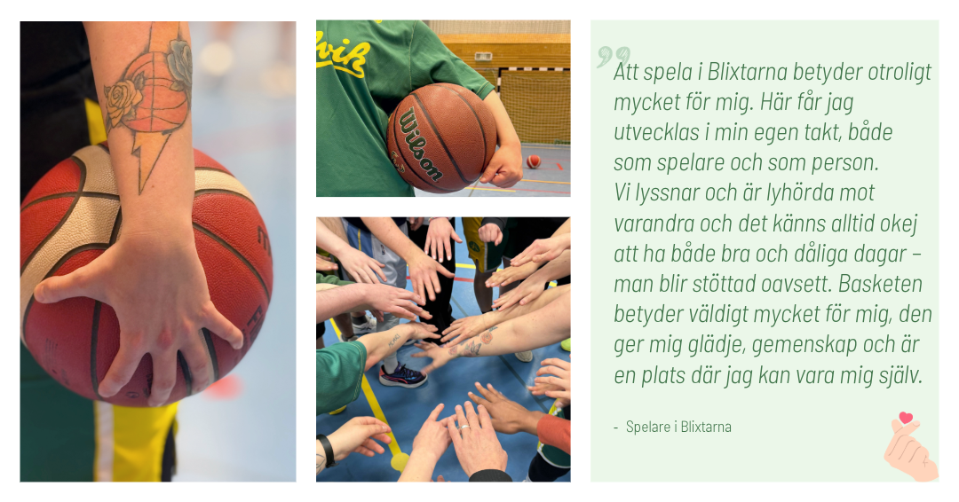 Kollage med bilder och citat fr&aring;n Alvik BAsket