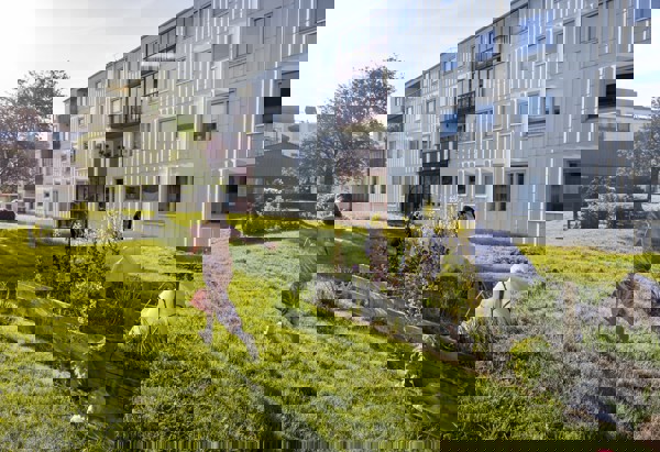 En solig eftermiddag i ett grönt gårdsrum mellan flerbostadshus, där ett barn i klänning springer över gräsmattan mot ett stort träd medan andra personer vistas vid odlingslådor och en låg byggnad i bakgrunden.