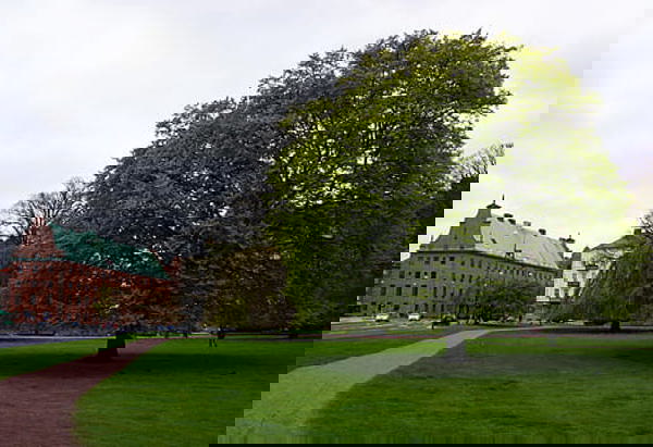 En stor grön park i Malmö med ett imponerande lövträd i förgrunden och äldre byggnader med koppartak i bakgrunden. En grusgång löper genom gräsmattan, och himlen är mulen. Parken är lugn och nästan tom på människor.