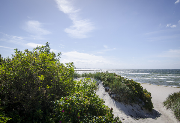 En sandstrand med låga sanddyner täckta av grön växtlighet i förgrunden. I bakgrunden syns havet med små vågor som slår mot stranden och en horisont där en stadssiluett eller industriella byggnader skymtar i fjärran. Himlen är ljusblå med några spridda moln, vilket skapar en lugn och solig kustmiljö.