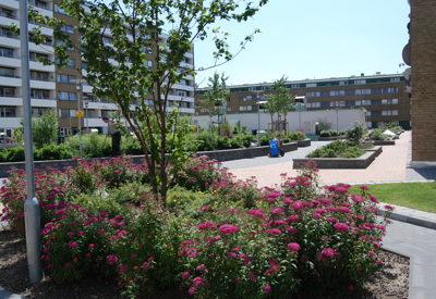 En grön innergård omgiven av bostadshus i tegel. I förgrunden blommar rosa perenner kring ett träd, och längre bort syns gångvägar, planteringar och några människor som vistas i området. En solig dag med klarblå himmel ger platsen en trivsam atmosfär.