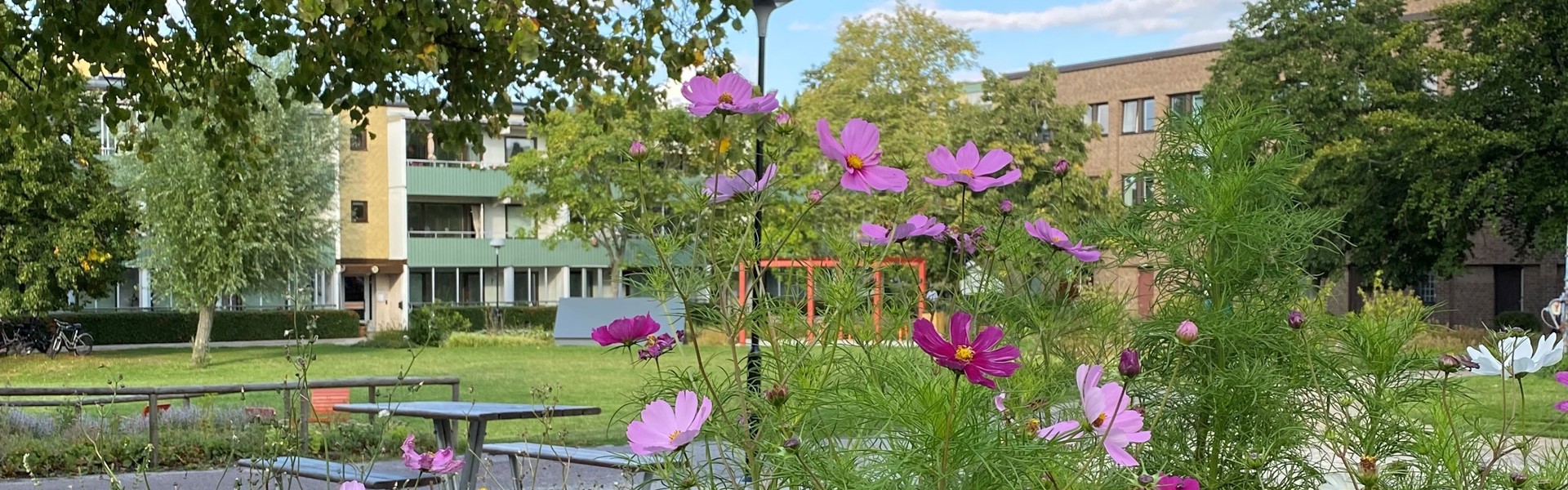En grönskande park med färgglada blommor i förgrunden. I bakgrunden syns moderna byggnader och träd under en klarblå himmel med några moln.