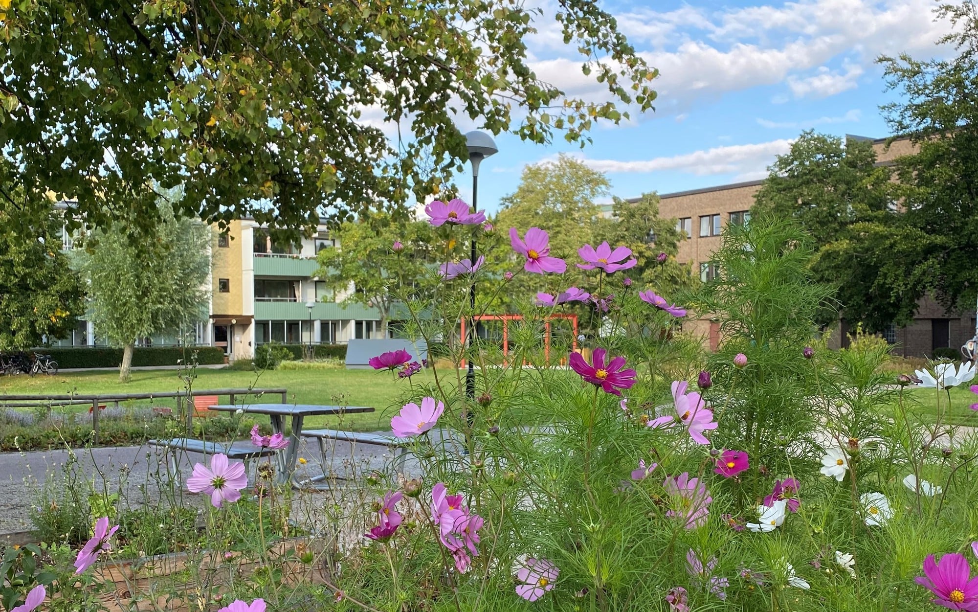En grönskande park med färgglada blommor i förgrunden. I bakgrunden syns moderna byggnader och träd under en klarblå himmel med några moln.