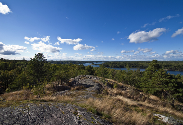 Omgivningsfoto från en höjd med trädtoppar och vatten runt om.