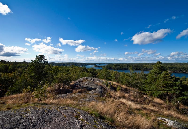 Omgivningsfoto från en höjd med trädtoppar och vatten runt om.