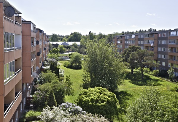 Bild på en gård med gräs tillsammans med och träd i en solig miljö