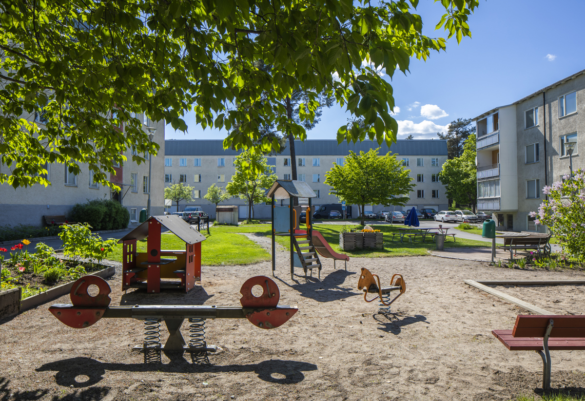 Lekplats för barn med ett grönskande träd i förgrunden. 