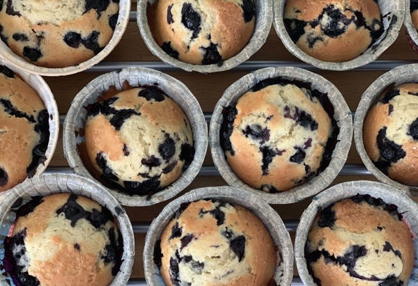 Närbild på blåbärsmuffins.