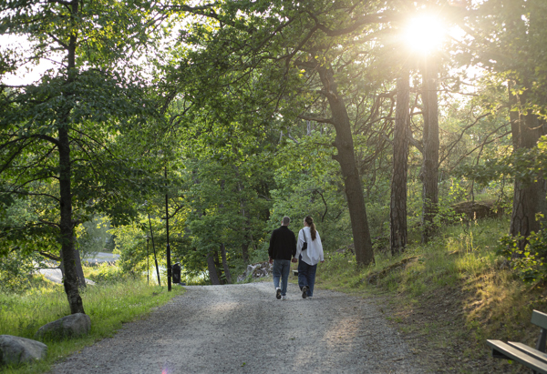 En stig i skogen. Två personer som går på stigen. Grönska.