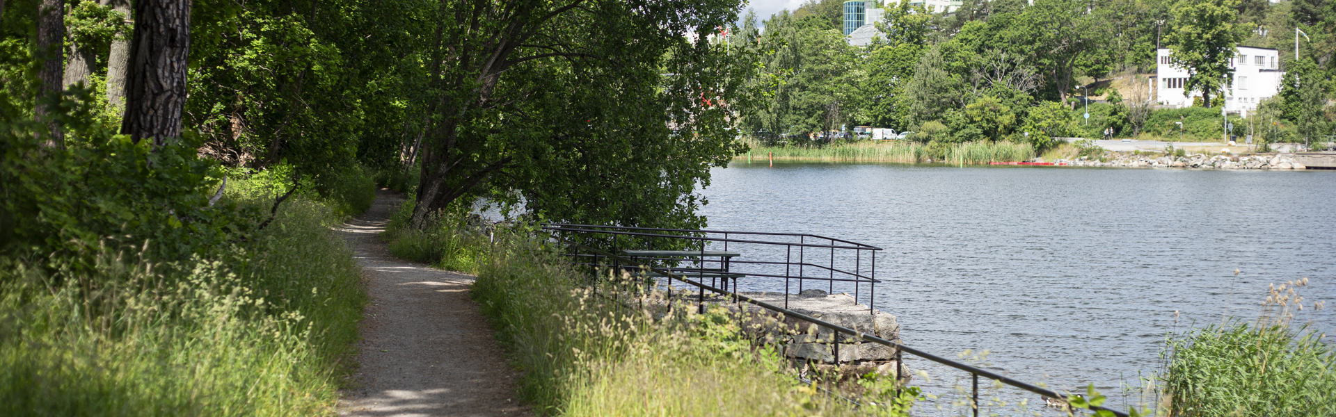 Stig vid vattnet med grönska runt omkring