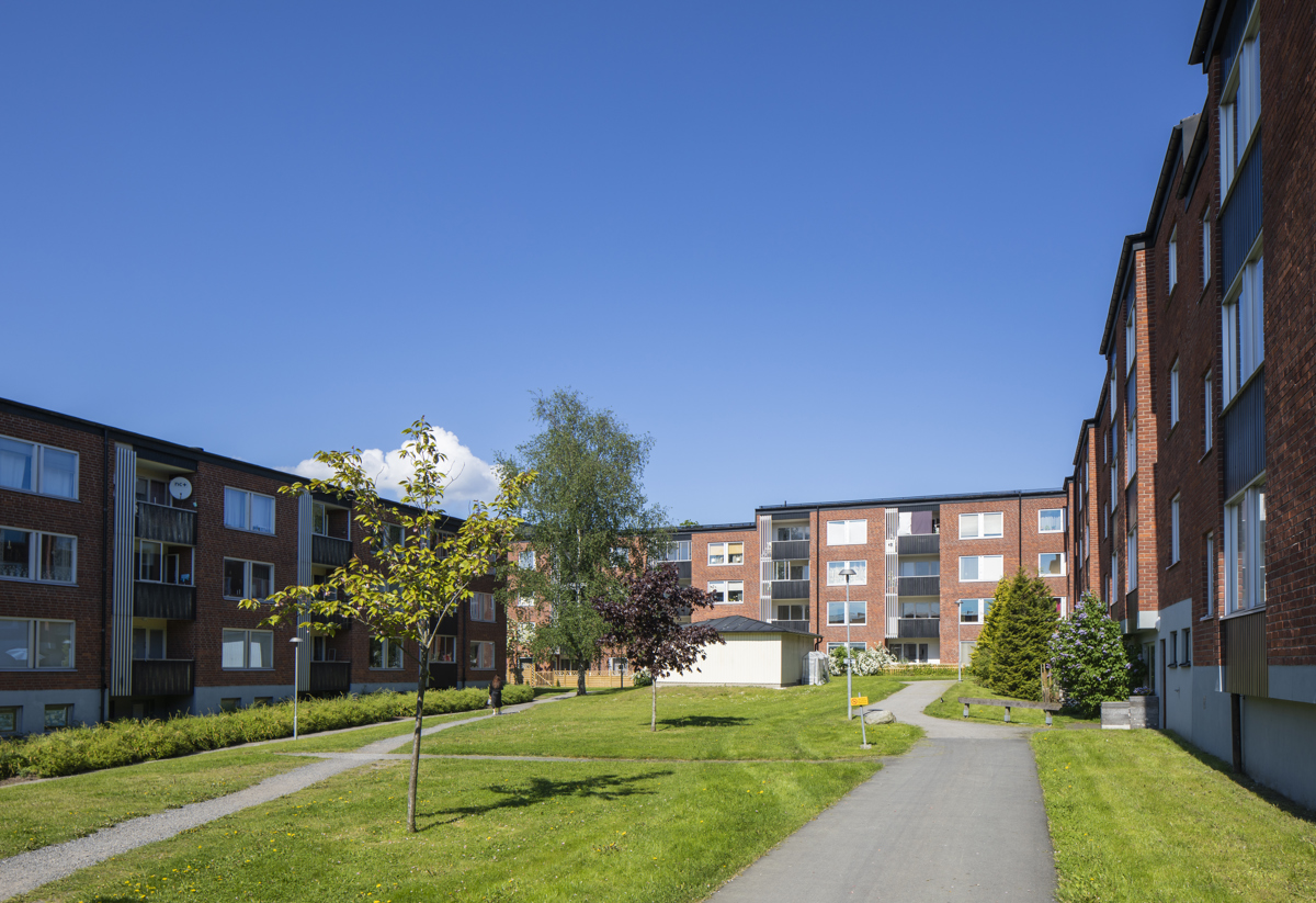 Grönskande innergård som är inringad av tegelhus.