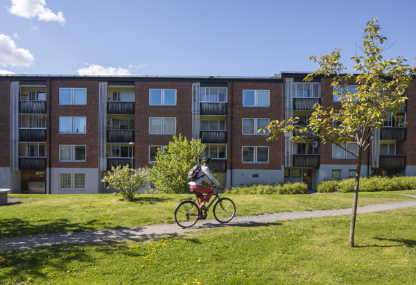 En person som cyklar på en gångväg som går över en gräsmatta, flerfamiljshus i bakgrunden. 