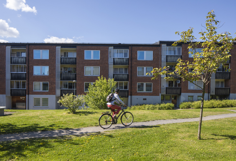 En person som cyklar på en gångväg som går över en gräsmatta, flerfamiljshus i bakgrunden. 