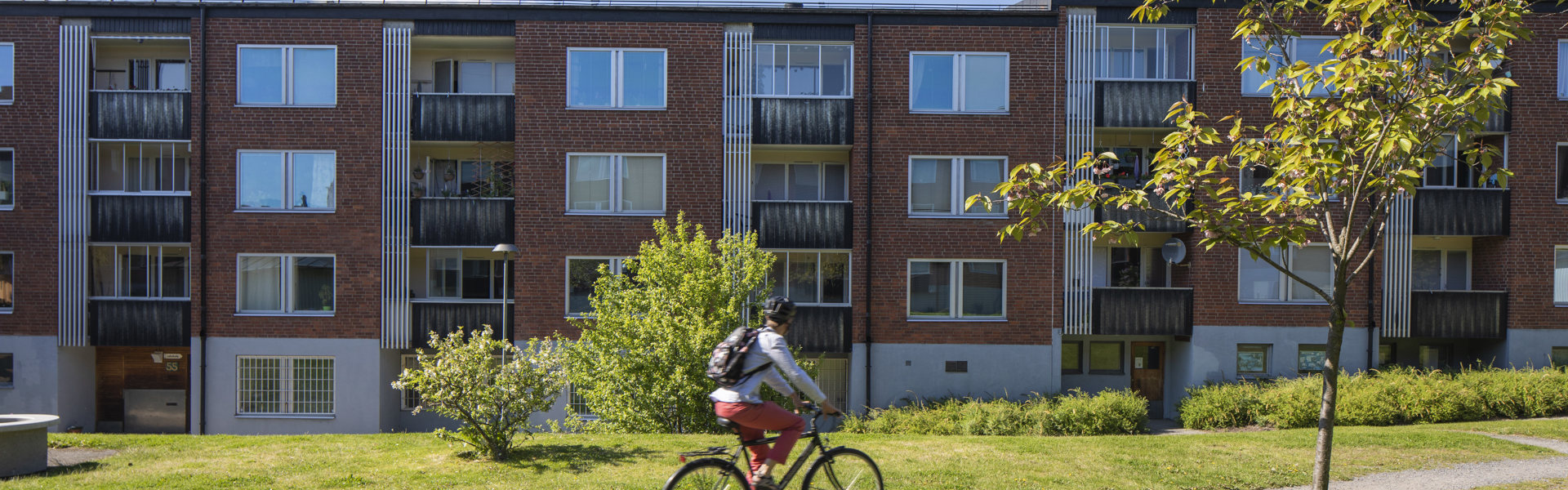 En person som cyklar på en gångväg som går över en gräsmatta, flerfamiljshus i bakgrunden. 