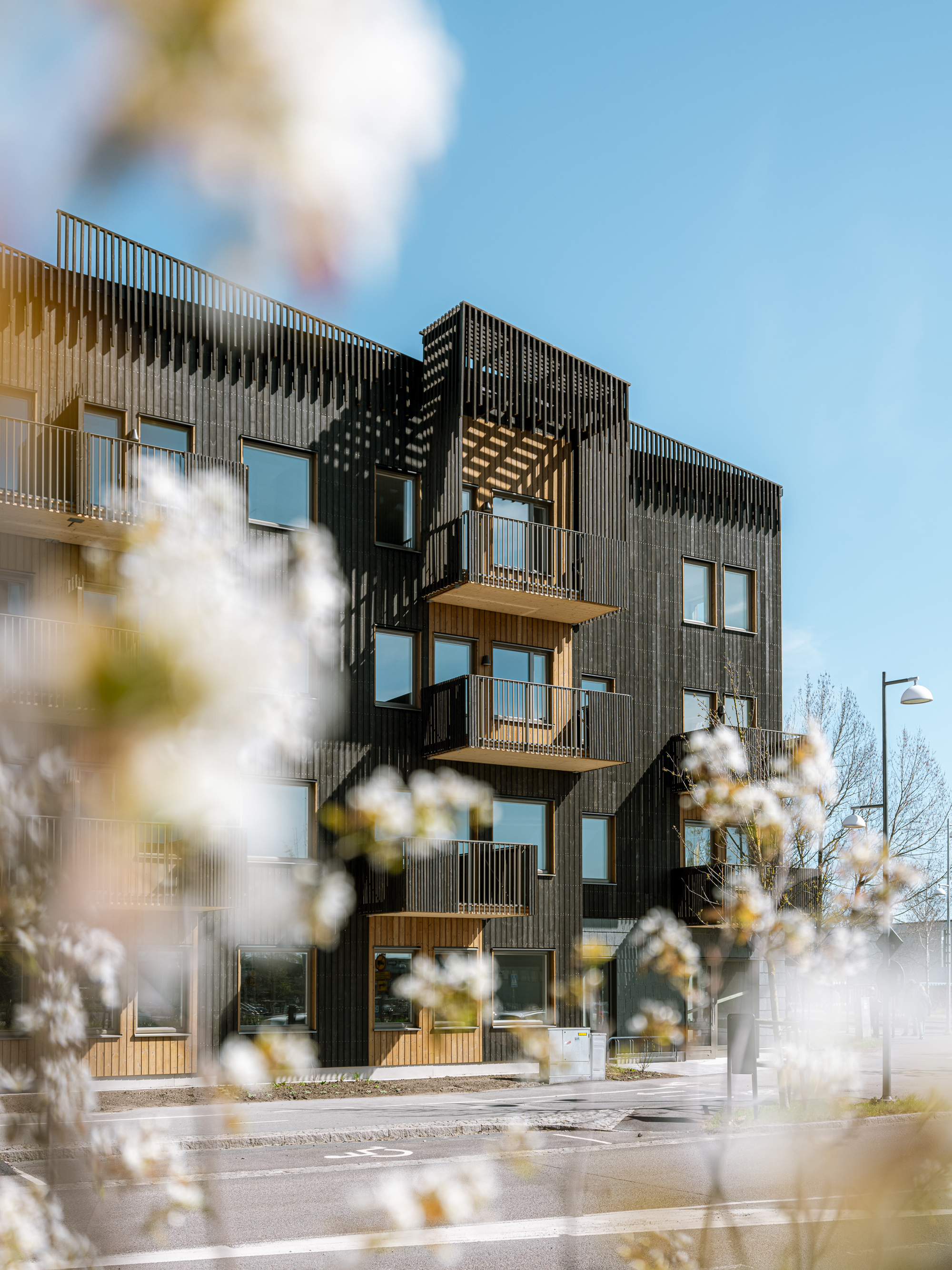 Flerbostadshus i trä med mörk fasad, balkonger och stora fönster. Blommande grenar syns i förgrunden och blå himmel i bakgrunden.