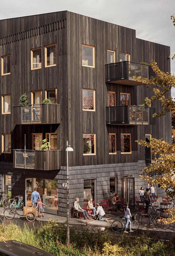 inzoomad bild på Kv koltrasten