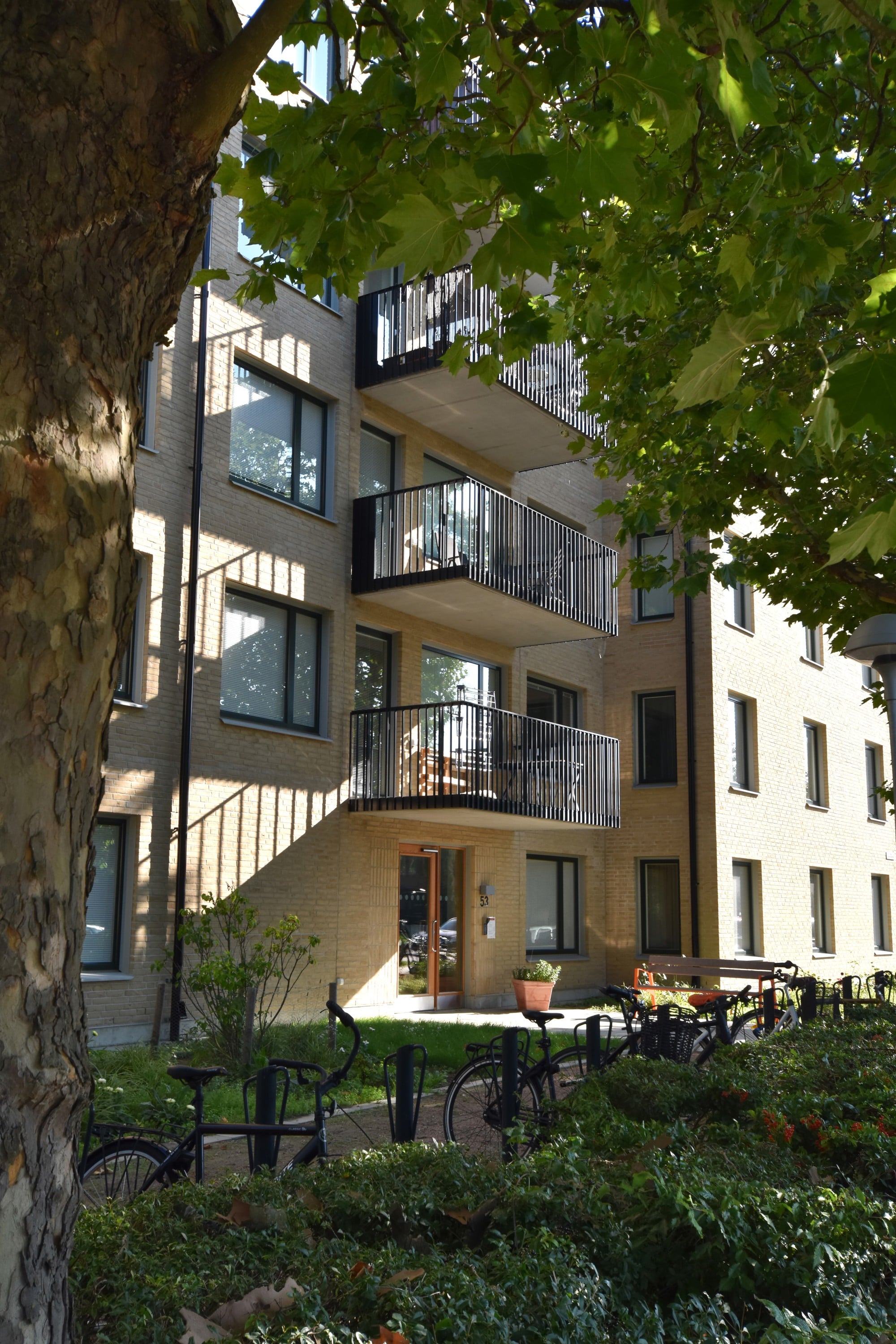 Flerbostadshus i ljust tegel med balkonger som vetter mot en grön innergård. I förgrunden syns ett stort träd, cykelställ, cyklar och planteringar.