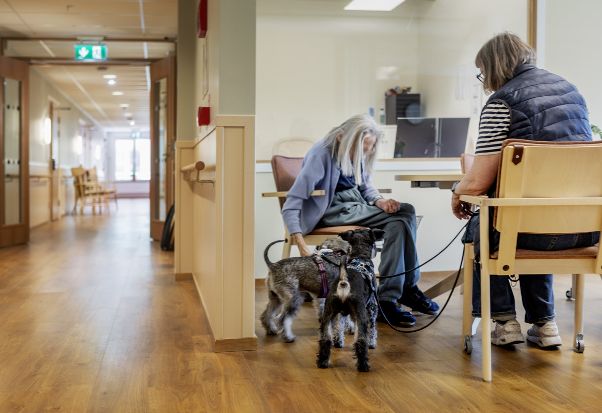 Bild på två kvinnor som klappar en hund i lunchrummet