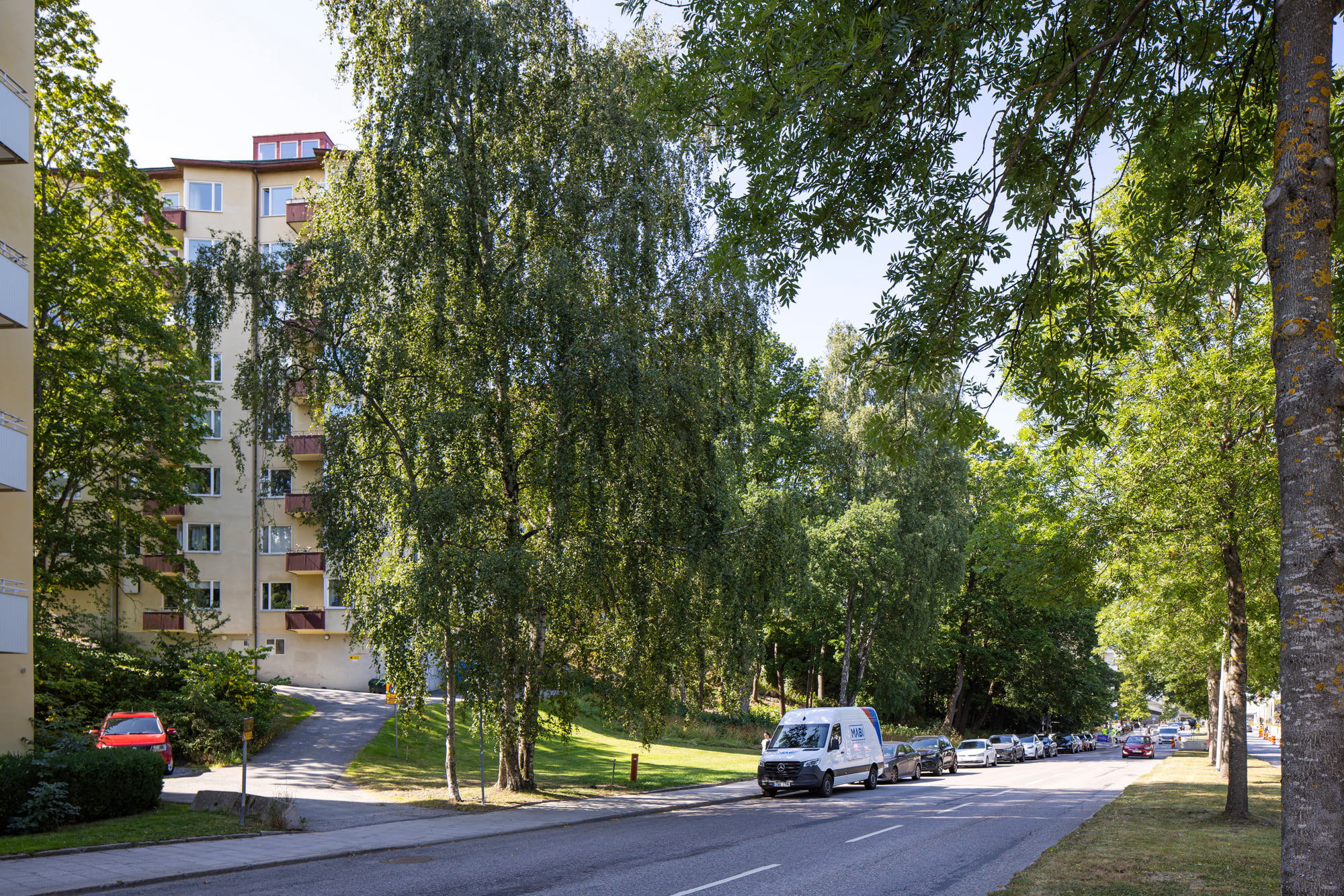 Väg med grönt på var sida och längs vänster sida anas ljus punkthus