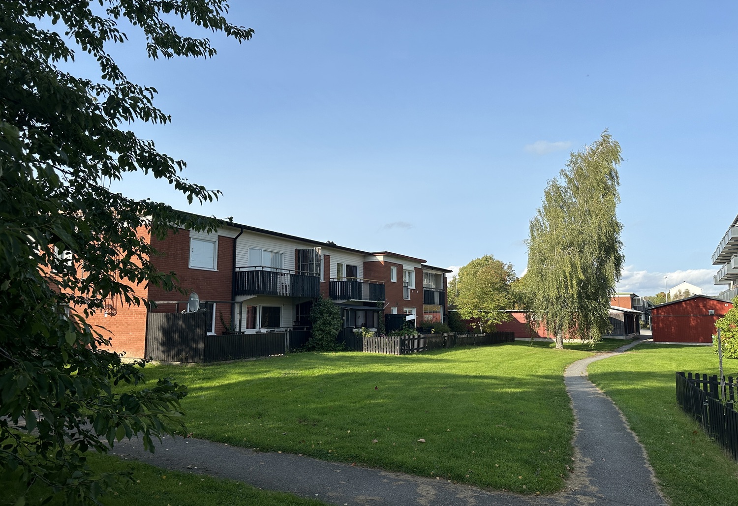 gräsmatta med gångväg på och röda tvåvåningshus i bakgrund. 
