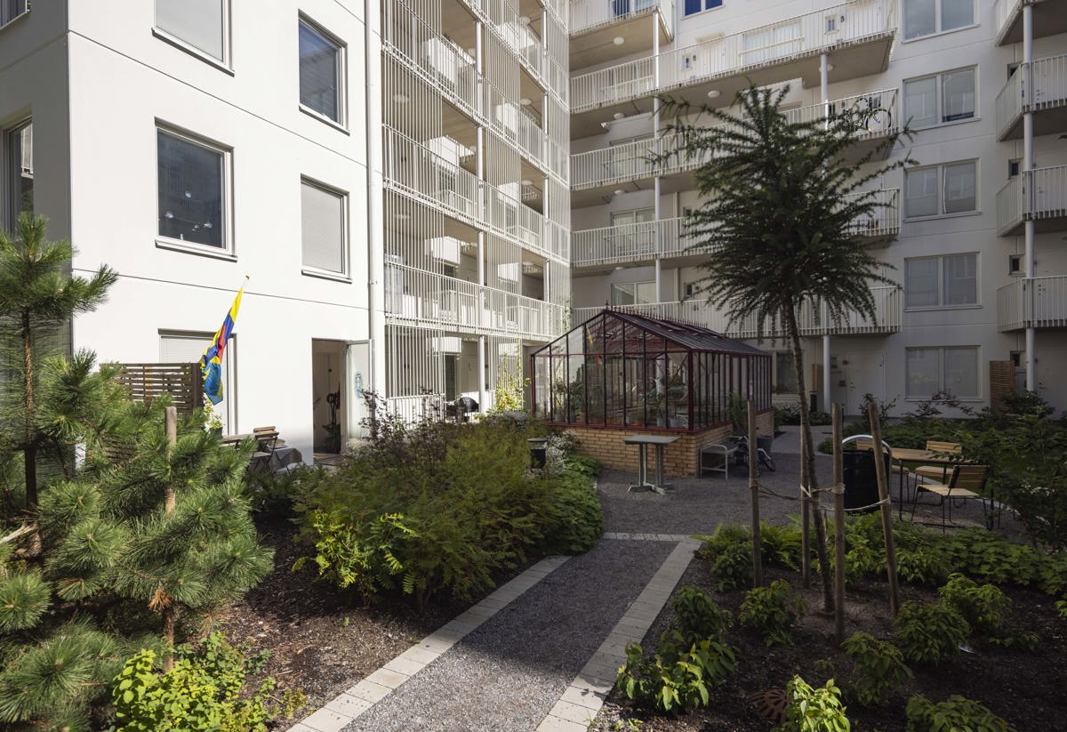 Grönskande innergård inringad av soliga balkonger