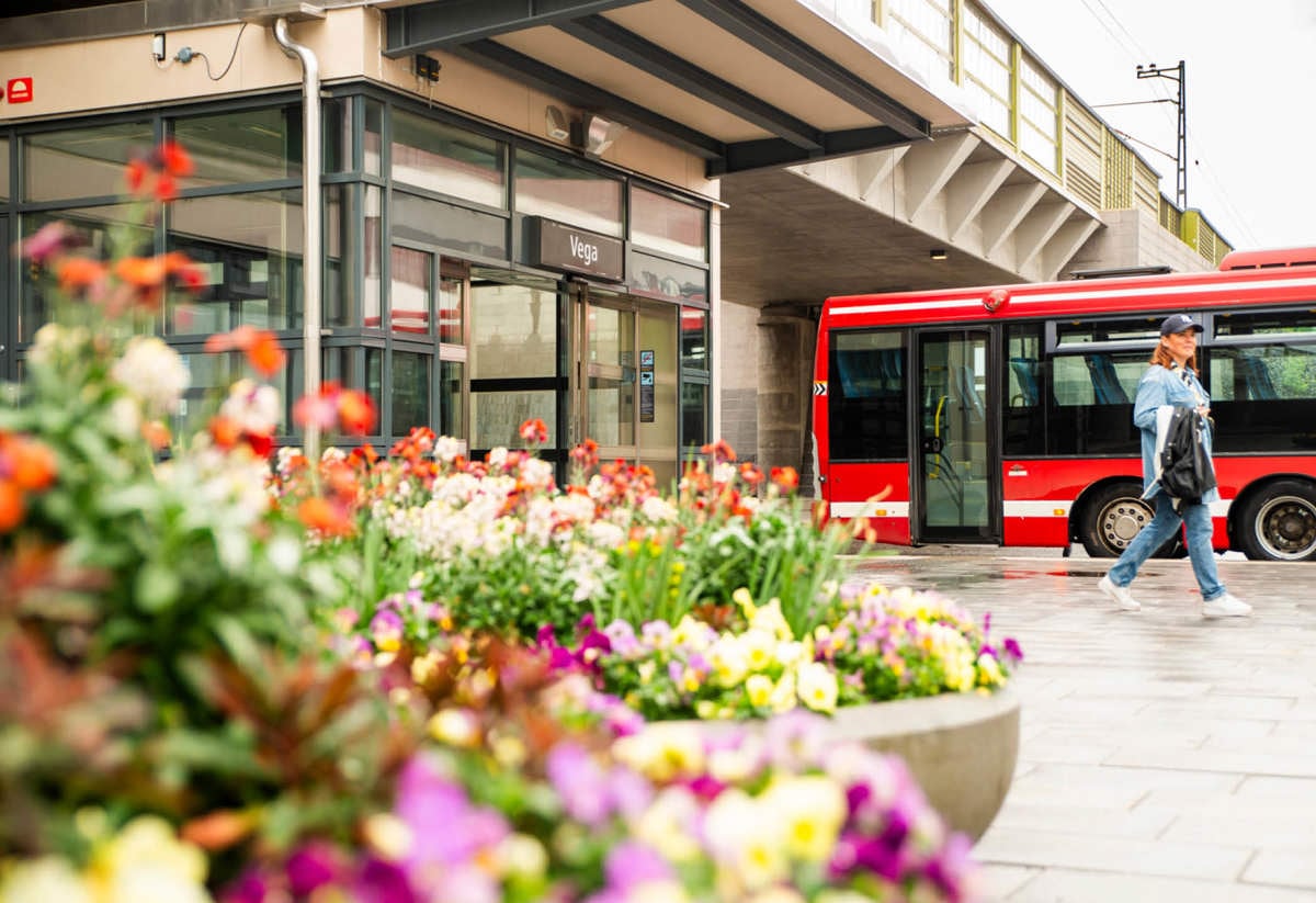Bild på buss på torg med fokus på blommor